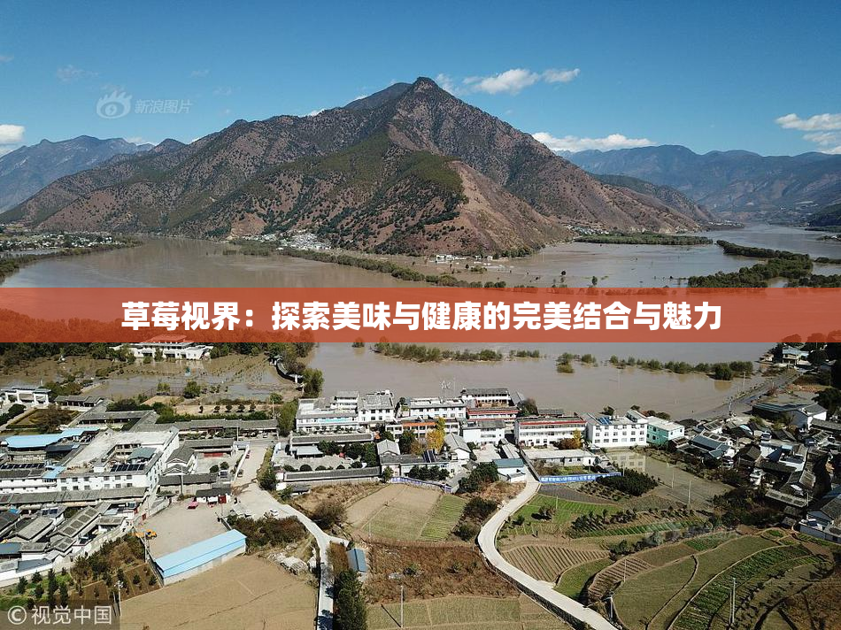 草莓视界：探索美味与健康的完美结合与魅力