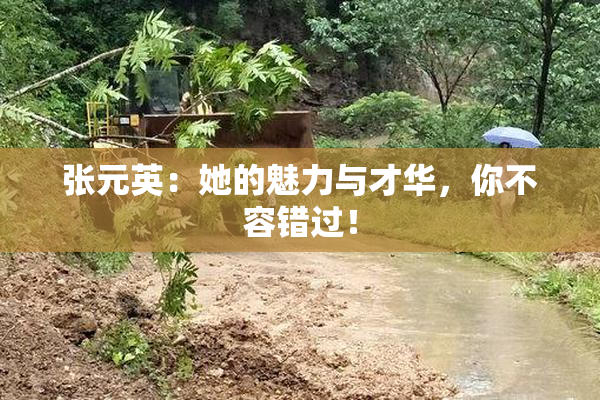 张元英：她的魅力与才华，你不容错过！