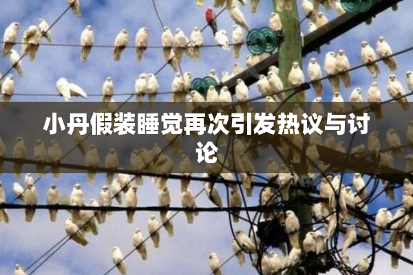 小丹假装睡觉再次引发热议与讨论