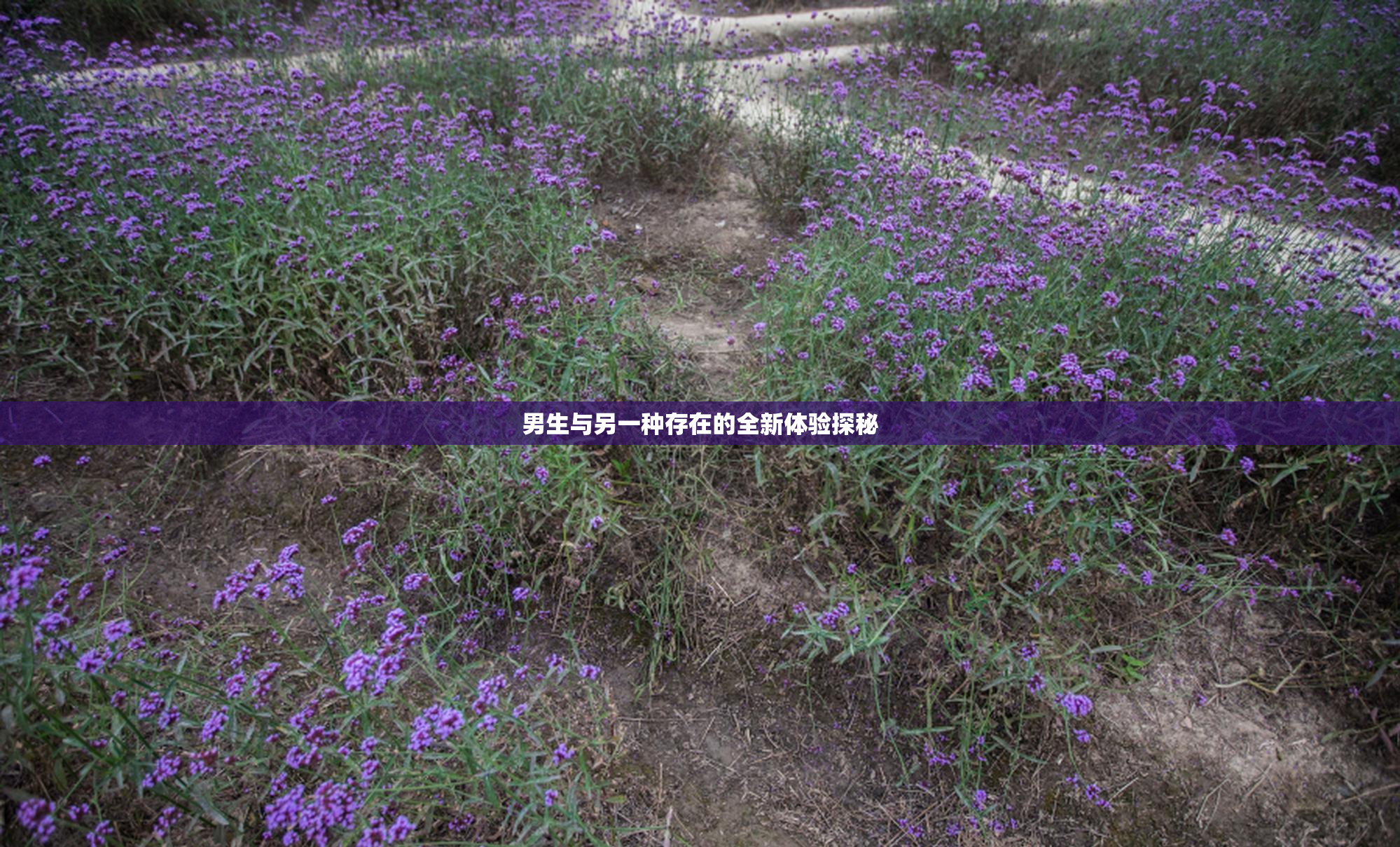 男生与另一种存在的全新体验探秘