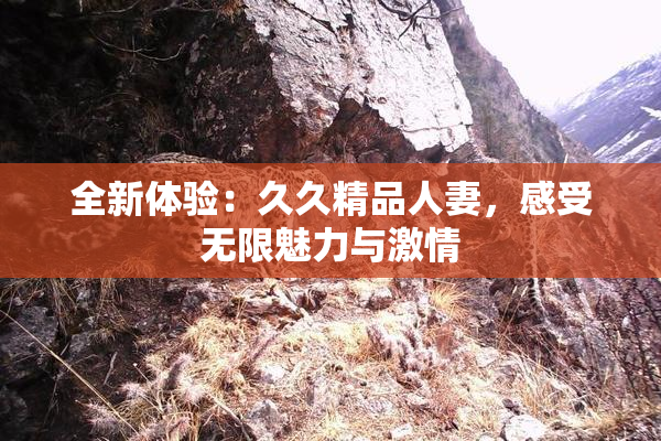 全新体验：久久精品人妻，感受无限魅力与激情