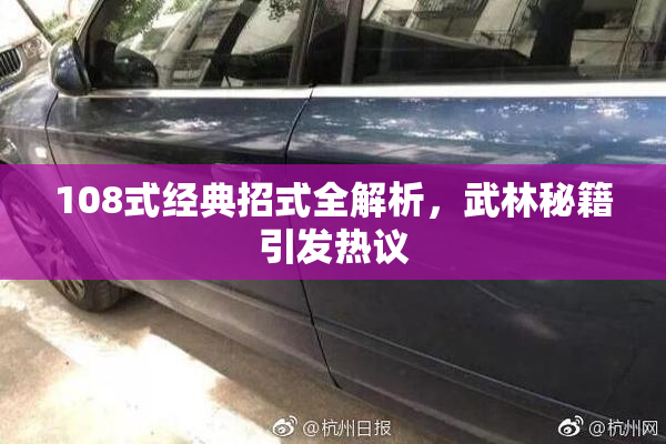 108式经典招式全解析，武林秘籍引发热议
