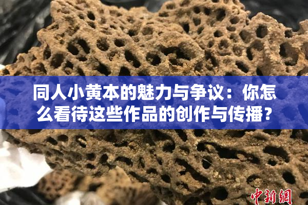 同人小黄本的魅力与争议：你怎么看待这些作品的创作与传播？