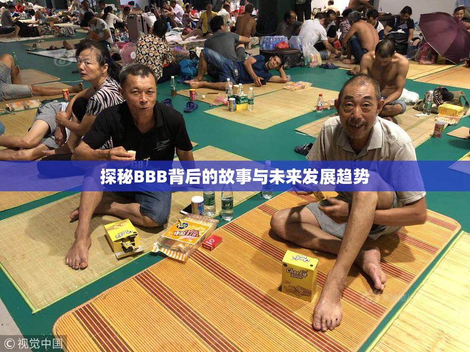 探秘BBB背后的故事与未来发展趋势