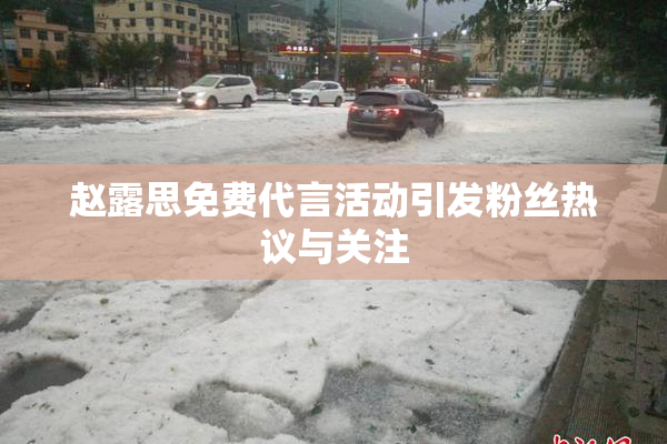 赵露思免费代言活动引发粉丝热议与关注