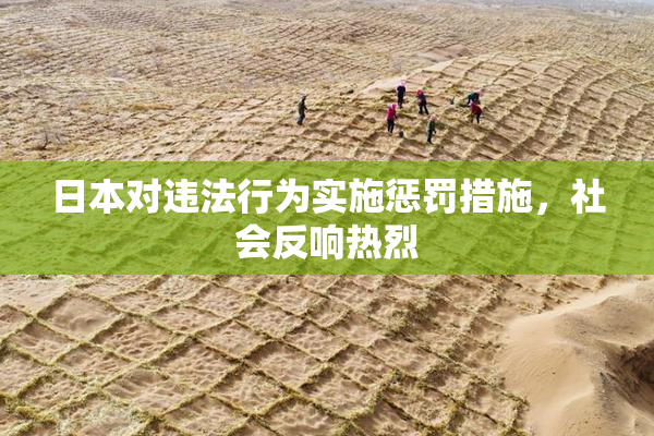 日本对违法行为实施惩罚措施，社会反响热烈