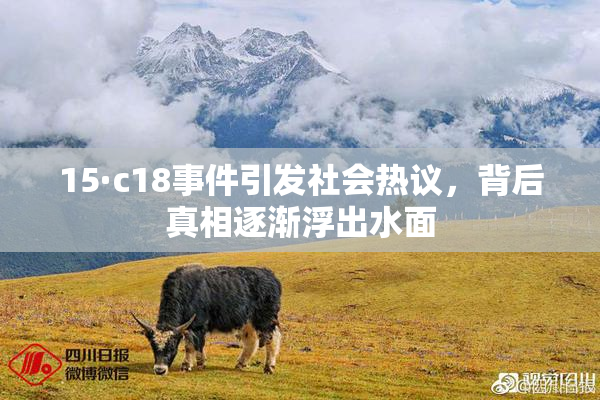 15·c18事件引发社会热议，背后真相逐渐浮出水面