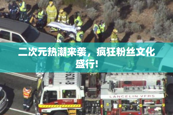 二次元热潮来袭，疯狂粉丝文化盛行!
