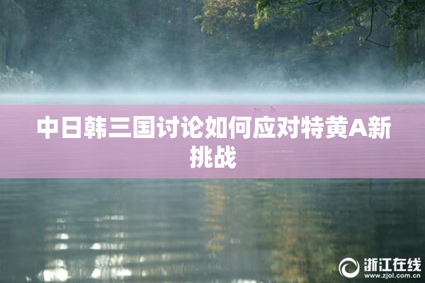 中日韩三国讨论如何应对特黄A新挑战