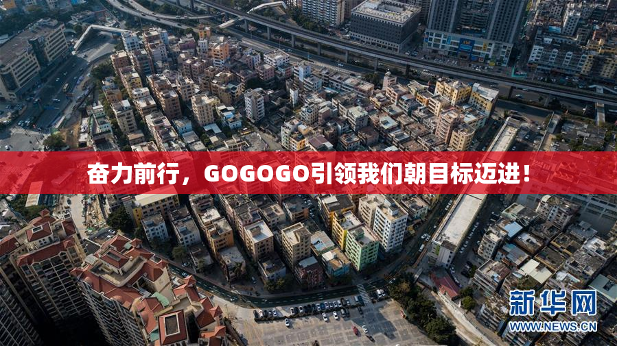 奋力前行，GOGOGO引领我们朝目标迈进！
