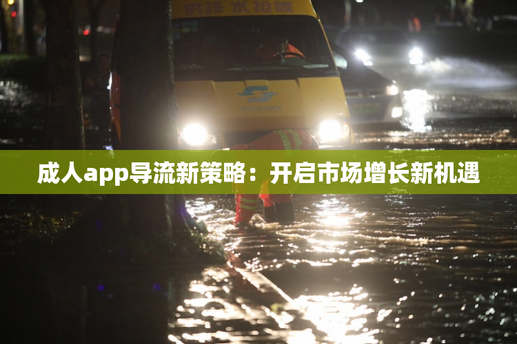 成人app导流新策略：开启市场增长新机遇