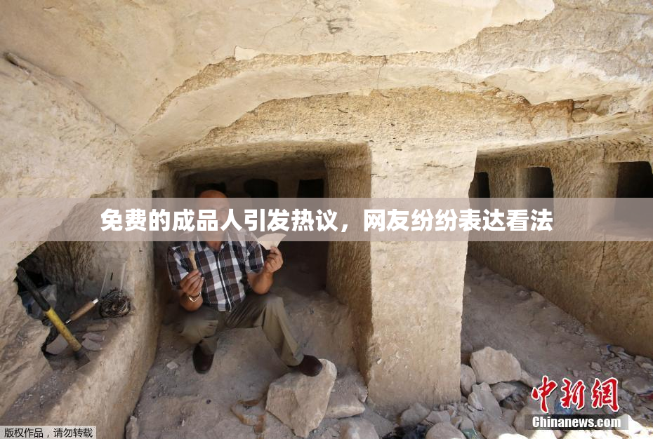 免费的成品人引发热议，网友纷纷表达看法