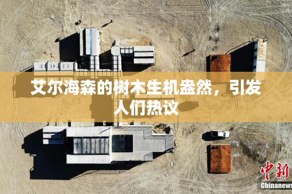 艾尔海森的树木生机盎然，引发人们热议