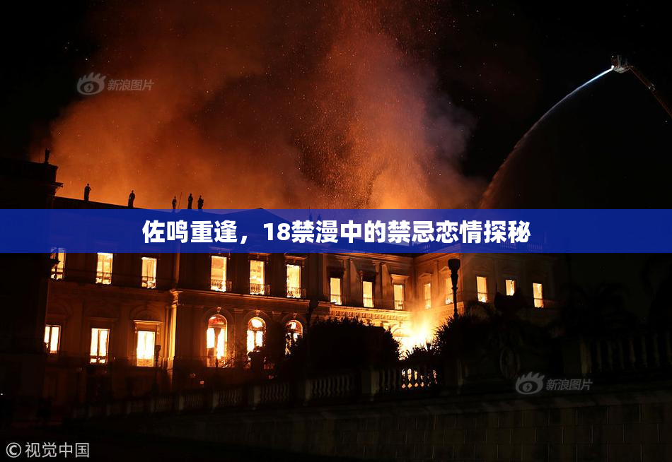 佐鸣重逢，18禁漫中的禁忌恋情探秘