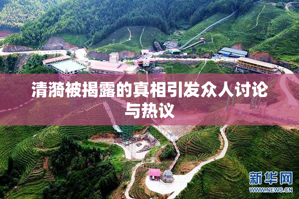 清漪被揭露的真相引发众人讨论与热议