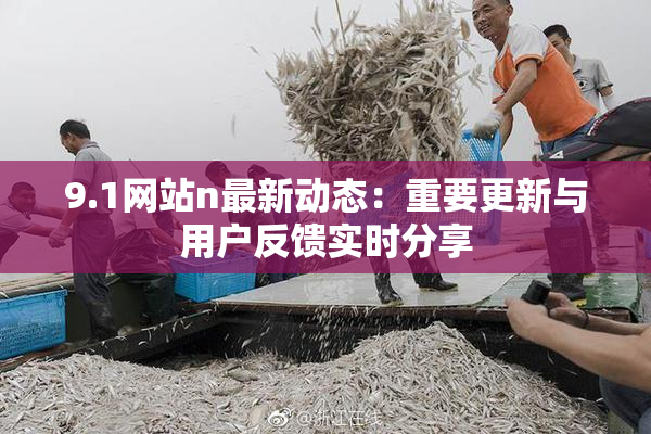 9.1网站n最新动态：重要更新与用户反馈实时分享