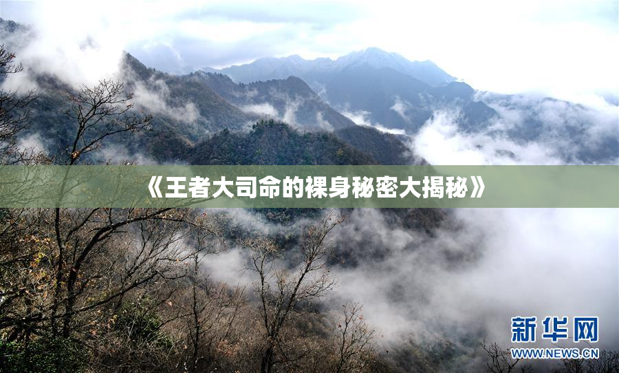 《王者大司命的裸身秘密大揭秘》