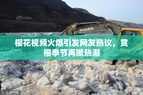 樱花视频火爆引发网友热议，赏樱季节再掀热潮