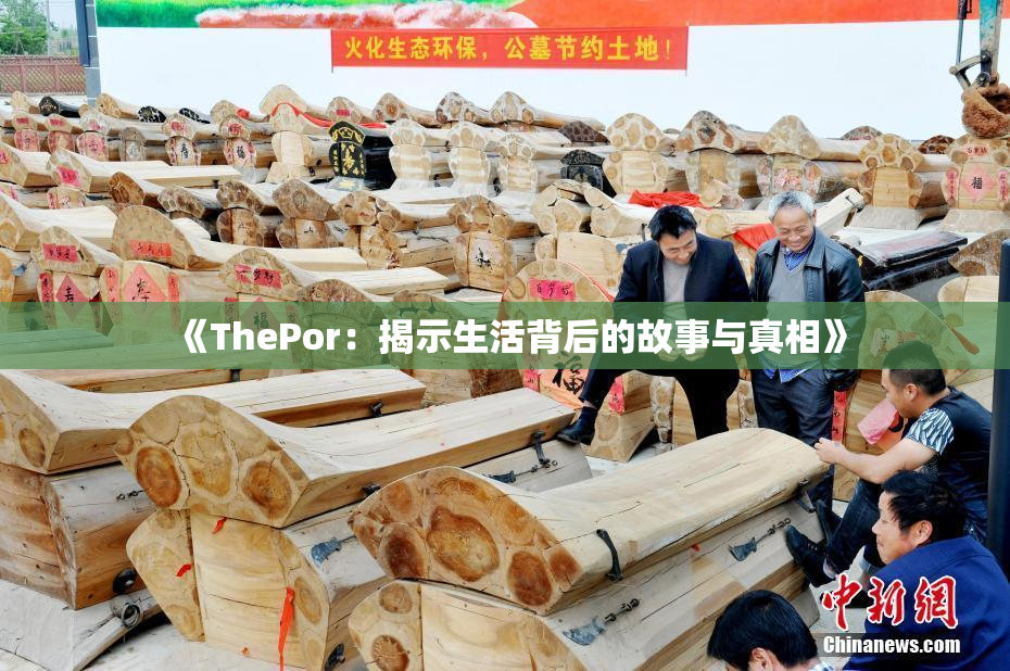 《ThePor：揭示生活背后的故事与真相》