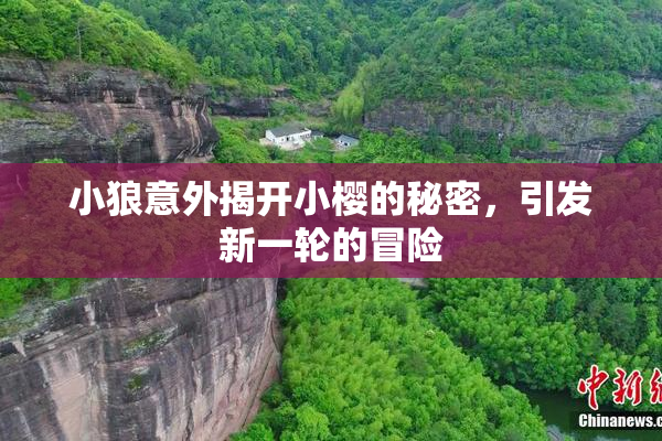 小狼意外揭开小樱的秘密，引发新一轮的冒险
