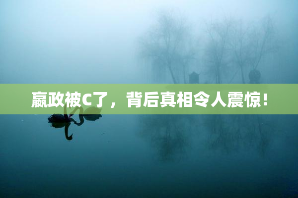 嬴政被C了，背后真相令人震惊！