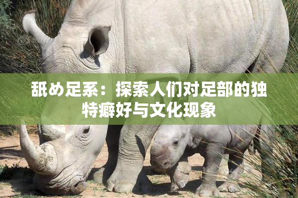 舐め足系：探索人们对足部的独特癖好与文化现象