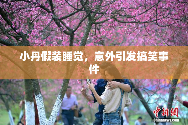 小丹假装睡觉，意外引发搞笑事件
