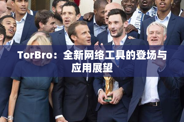 TorBro：全新网络工具的登场与应用展望