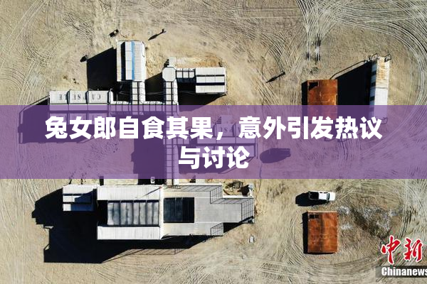 兔女郎自食其果，意外引发热议与讨论