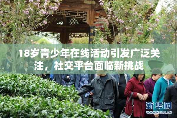 18岁青少年在线活动引发广泛关注，社交平台面临新挑战