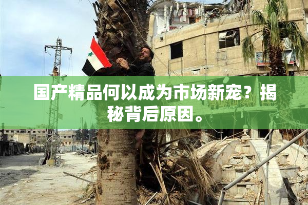 国产精品何以成为市场新宠？揭秘背后原因。