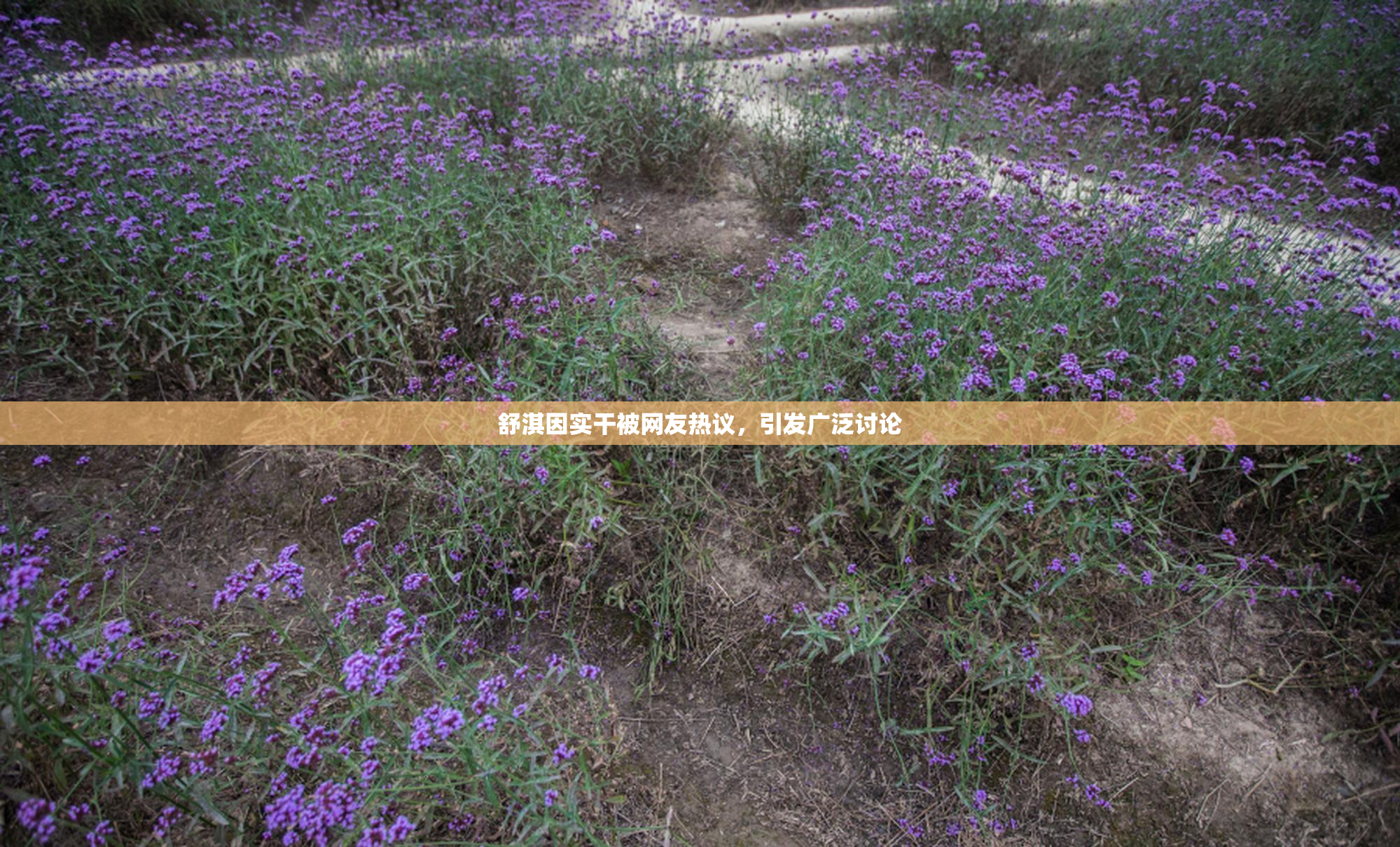 舒淇因实干被网友热议，引发广泛讨论