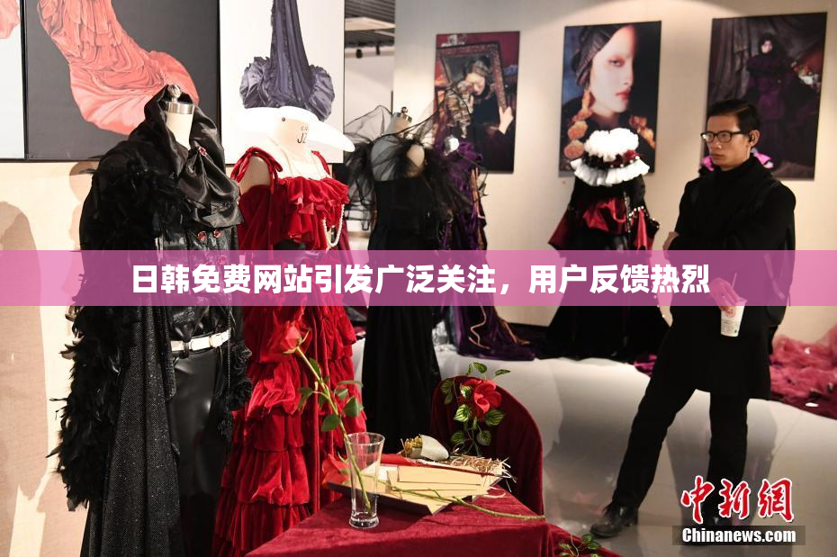 日韩免费网站引发广泛关注，用户反馈热烈