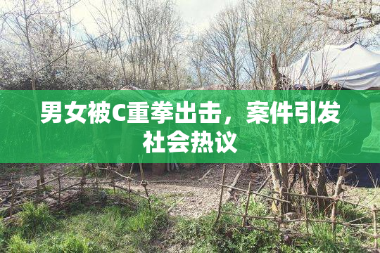 男女被C重拳出击，案件引发社会热议