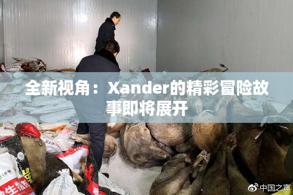 全新视角：Xander的精彩冒险故事即将展开