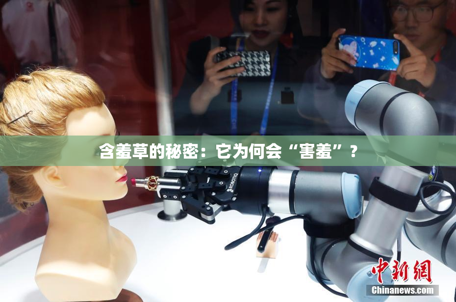 含羞草的秘密：它为何会“害羞”？