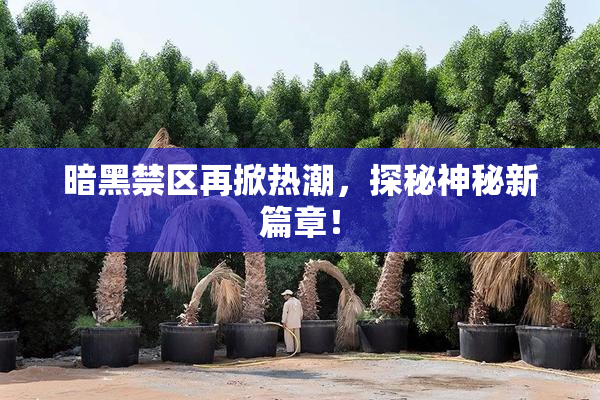 暗黑禁区再掀热潮，探秘神秘新篇章！