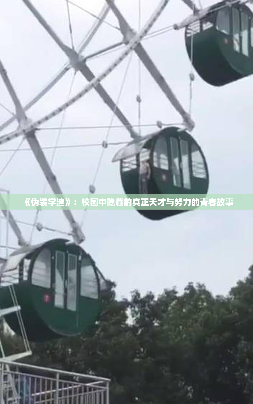 《伪装学渣》：校园中隐藏的真正天才与努力的青春故事