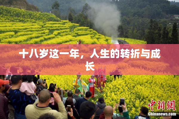 十八岁这一年，人生的转折与成长