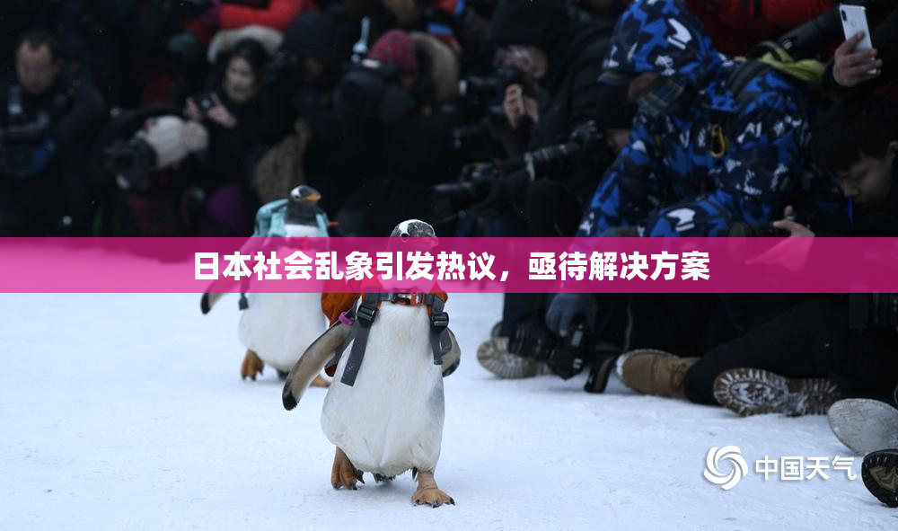 日本社会乱象引发热议，亟待解决方案