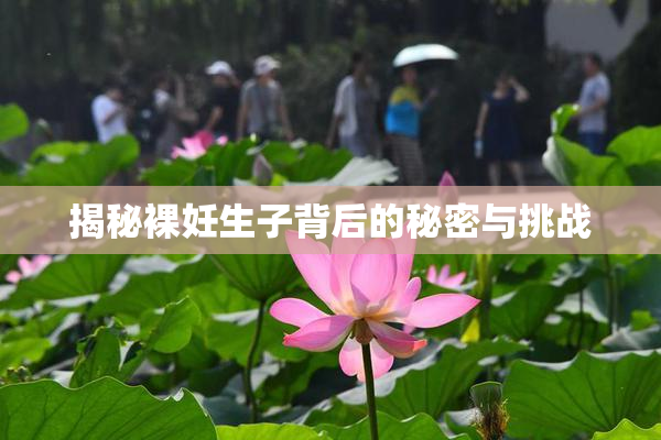 揭秘裸妊生子背后的秘密与挑战