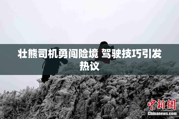 壮熊司机勇闯险境 驾驶技巧引发热议
