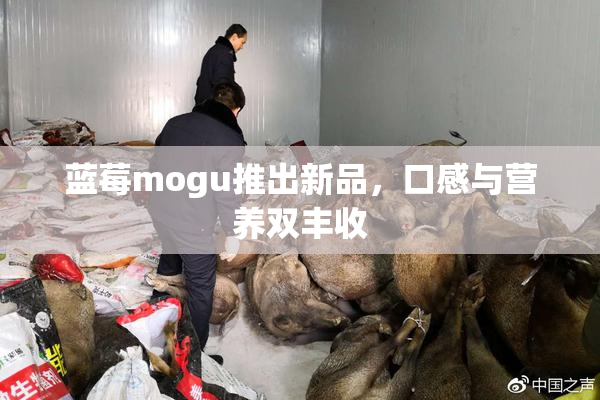 蓝莓mogu推出新品，口感与营养双丰收