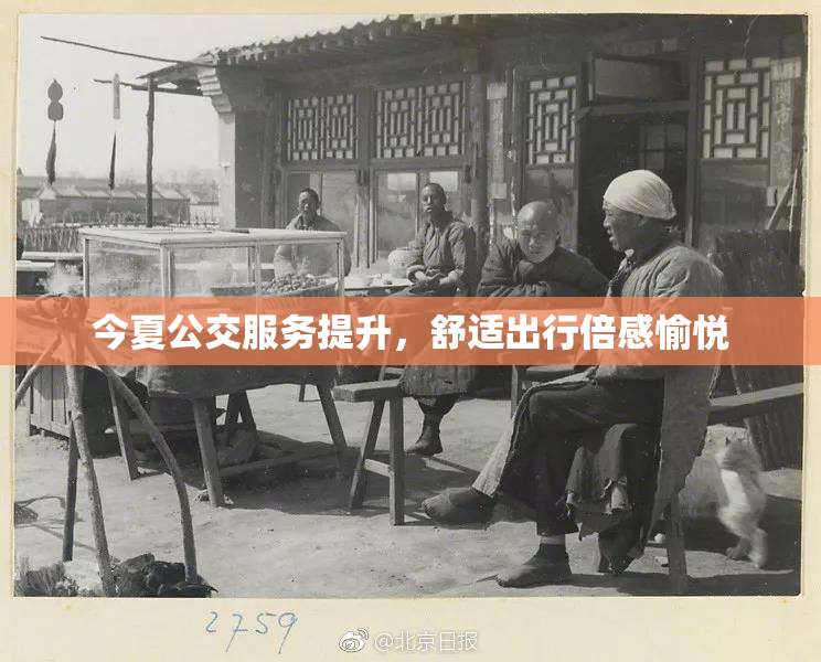今夏公交服务提升，舒适出行倍感愉悦