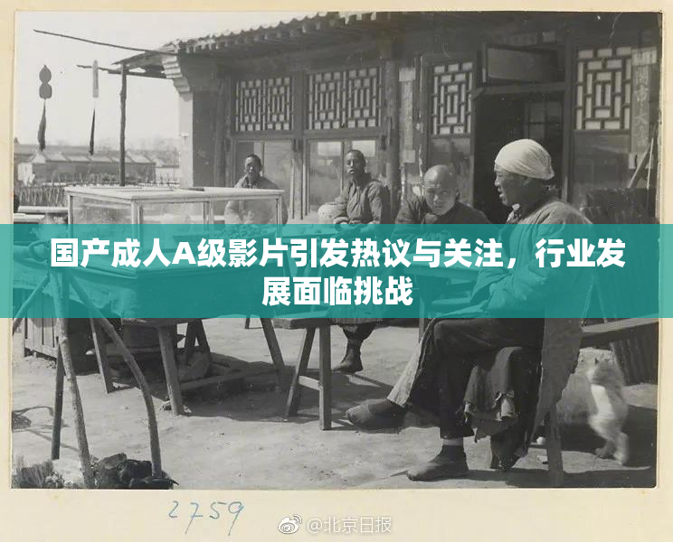 国产成人A级影片引发热议与关注，行业发展面临挑战