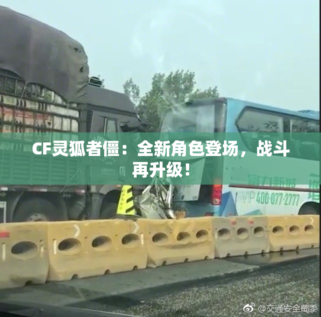 CF灵狐者僵：全新角色登场，战斗再升级！