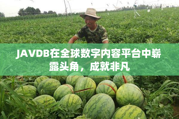 JAVDB在全球数字内容平台中崭露头角，成就非凡