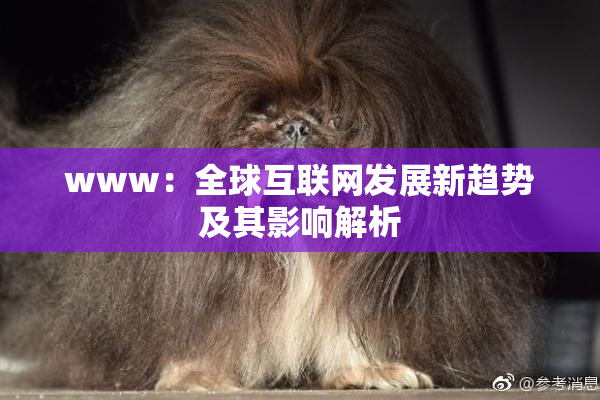 www：全球互联网发展新趋势及其影响解析