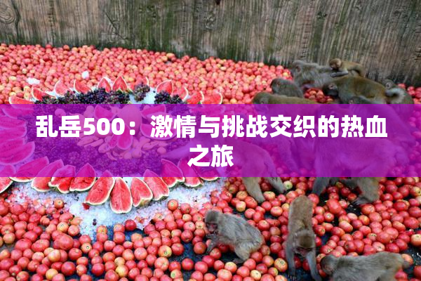 乱岳500：激情与挑战交织的热血之旅