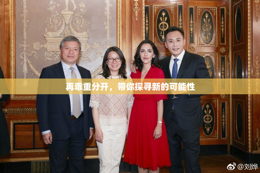 再乖重分开，带你探寻新的可能性